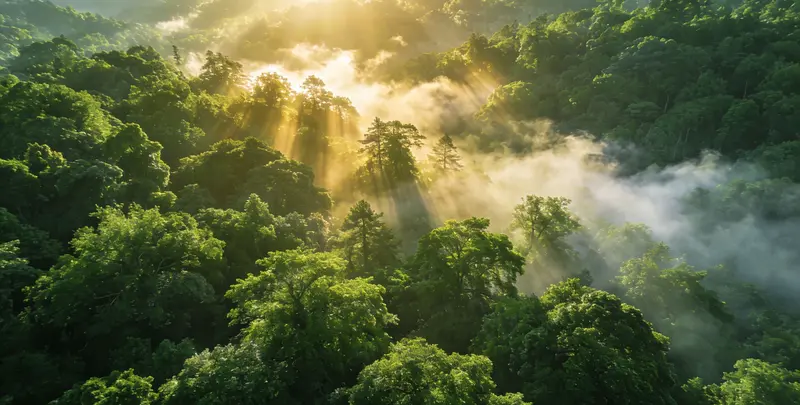 福州肺癌12基因ctDNA突变检测(血液）图片1