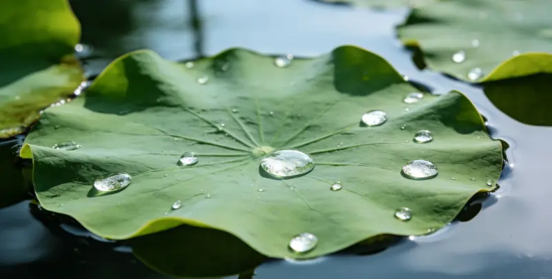 福州乳腺癌21基因mRNA表达分析图片1