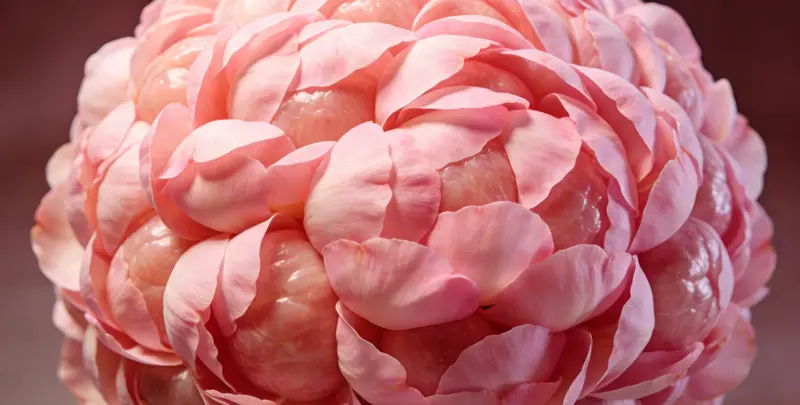 福州BRCA1/2乳腺癌卵巢癌基因检测图片1